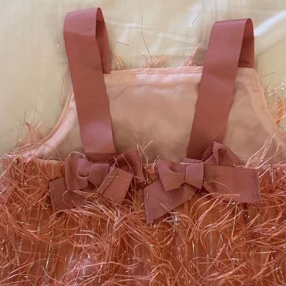 NWT Crewcuts Feathered Dress - Picture 7 of 8